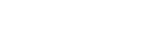 Business Integrator