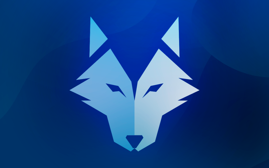 Home centers: Quem tem medo do lobo mau?